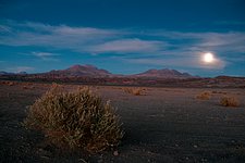 The long road to ALMA