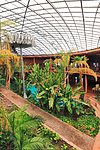 Under Residencia's Dome