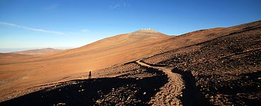 Desert Path