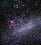 LMC Snapped by Schmidt Telescope