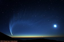 Comet McNaught