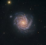 Spiral Galaxy NGC 1232