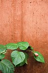 Contrast at Paranal Residencia