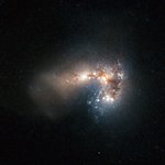 Frenzied Star Birth in Haro 11