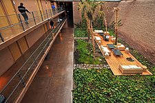 A Sanctuary in the Desert
