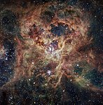 The Tarantula Nebula