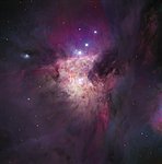 The Trapezium Cluster