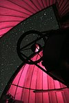 TRAnsiting Planets and PlanetesImals Small Telescope