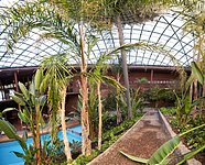Garden and swimming pool at the Paranal Residencia