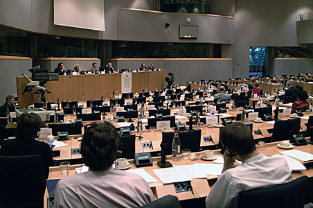 Mini hearing on European Astronomy and Astrophysics