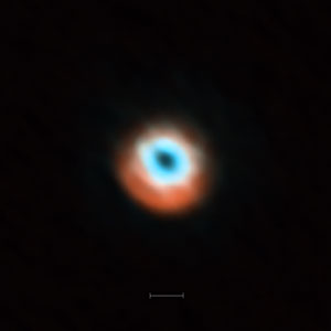 ALMA imaging of the transitional disc HD 135344B