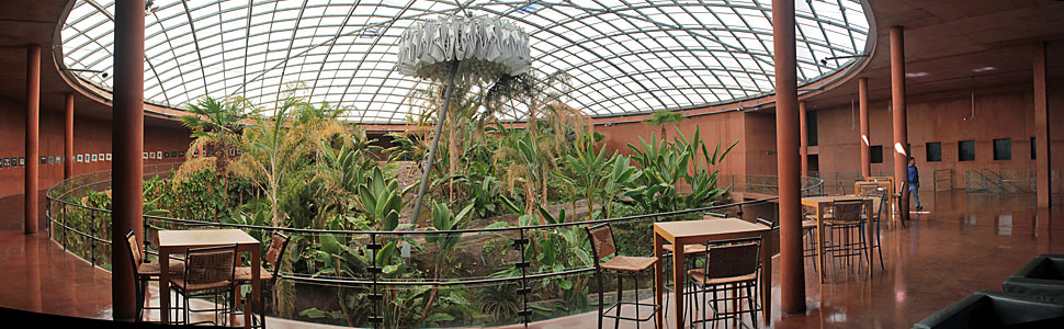 Paranal's Hidden Oasis