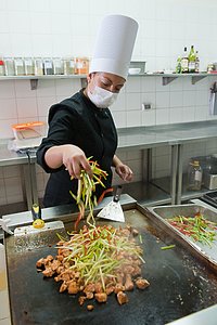 Residencia chef Castillo