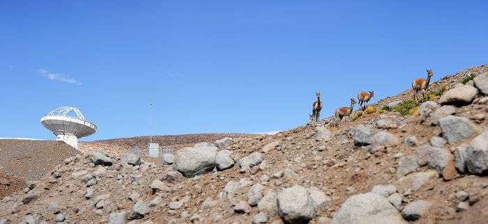 ALMA visitors