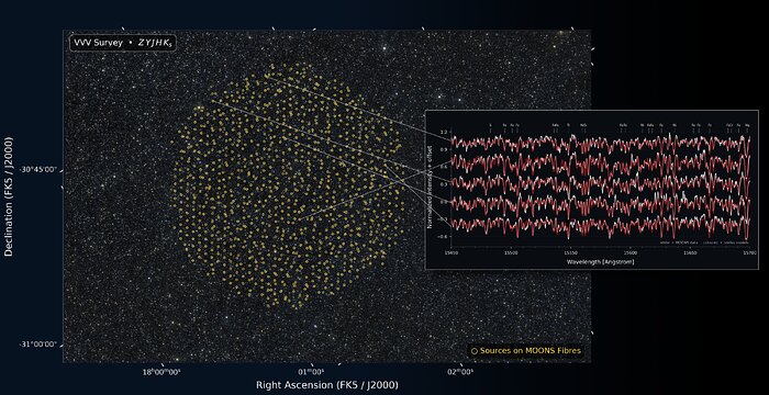 MOONS first light spectra
