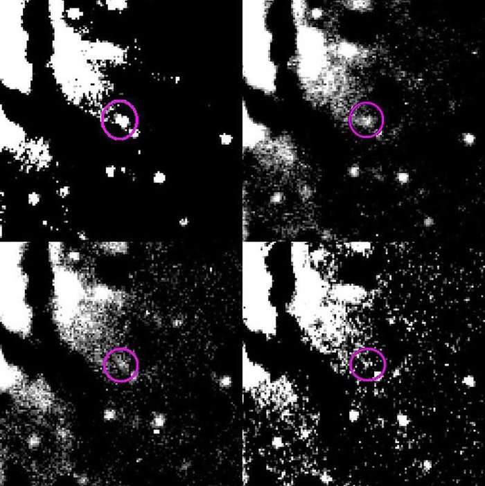 Brightness decline of Nova in NGC 1316