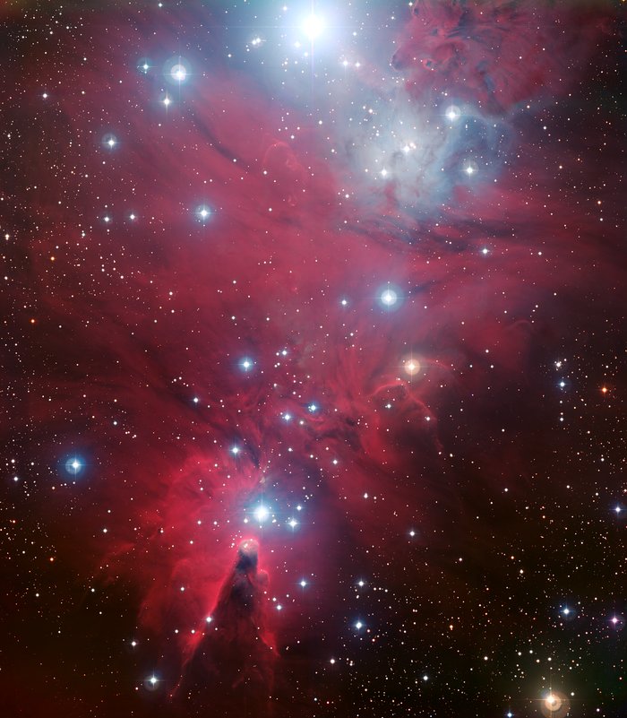 NGC 2264 och Julgranshopen