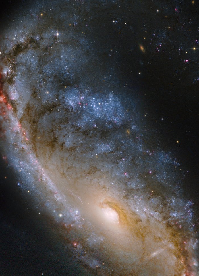 Hubble image of the Meathook galaxy