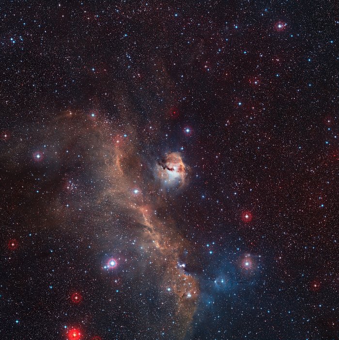 Wide-field view of the entire Seagull Nebula (IC 2177)