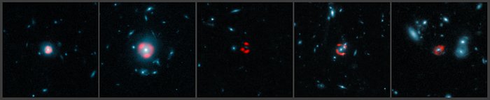 ALMA-Bilder von fernen Starburstgalaxien mit Gravitationslinseneffekt