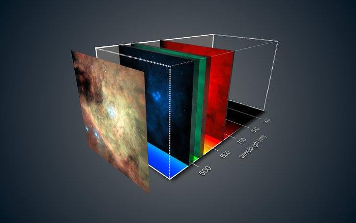 MUSE views of the Orion Nebula