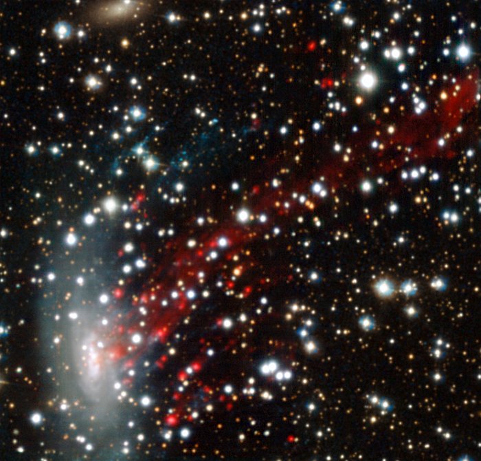 MUSE view of the ram-pressure stripped galaxy ESO 137-001