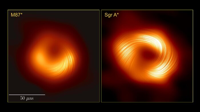 Two orange donut-shaped objects against a black background, shown side by side. The one on the left, labeled ‘M87*’, is asymmetric, with the bottom half much brighter than the top half. The donut to the right, labeled ‘Sgr A*’, is more symmetric, but has three blobs brighter than the rest of the donut. Both donuts have thin swirling lines overlaid on them, spiraling around each donut’s central hole. A white horizontal bar, roughly as long as the diameter of the donuts and labeled ‘50 micro-arcseconds’, indicates the scale of these images.