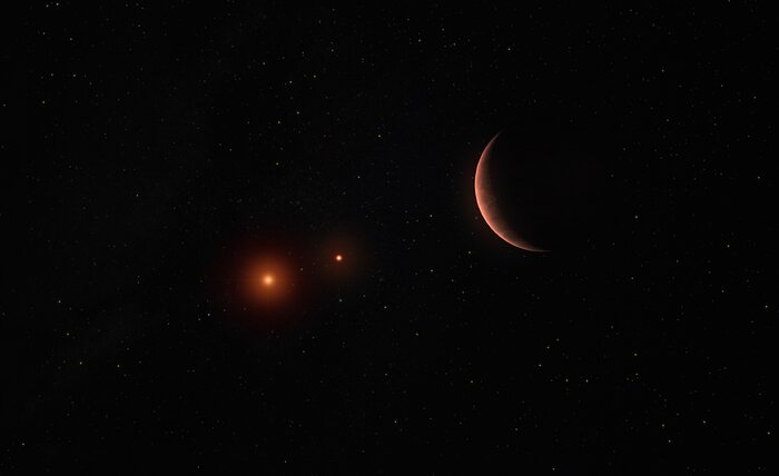 Artist’s impression of an exoplanet around two brown dwarfs
