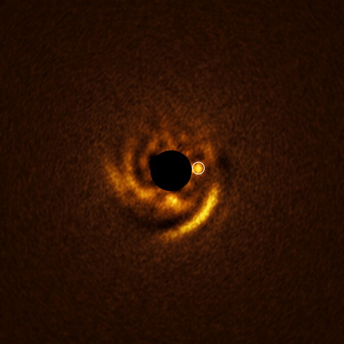 At the centre of this image is the fuzzy, yellow outline of a spiral shape. It glows more strongly towards the bottom right of the spiral, and close to the centre of the spiral, on it's right hand side, is a particular spot of light that has been circled in white to highlight it. This is the possible location of a new exoplanet candidate. The very centre of this spiral is completely black, having been removed by the instrument that took this picture.