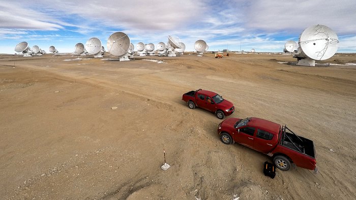 Red trucks, white antennae