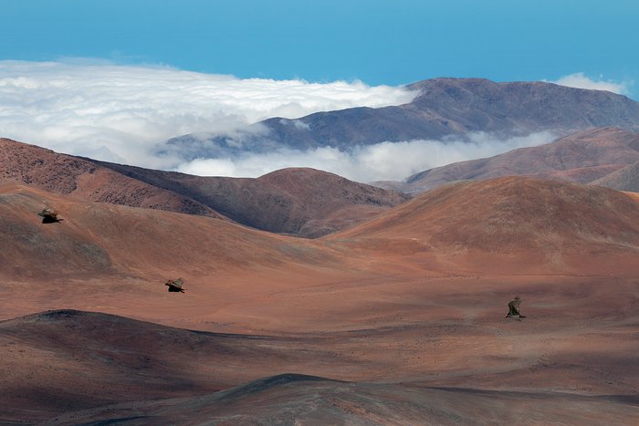 Vuelo de tres