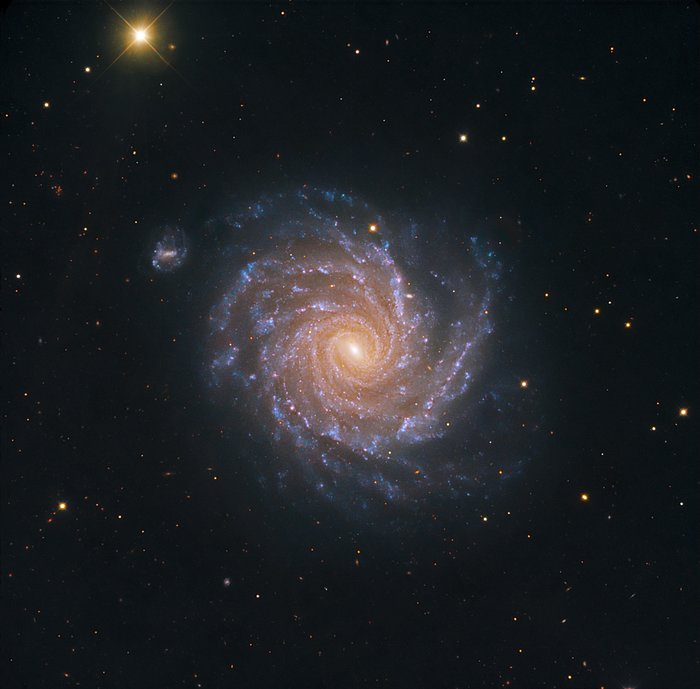 Spiral galaxy NGC 1232