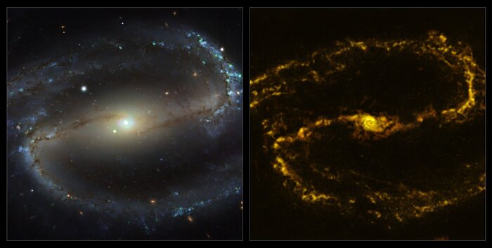 The NGC 1300 galaxy as seen with MUSE on ESO’s VLT and ALMA