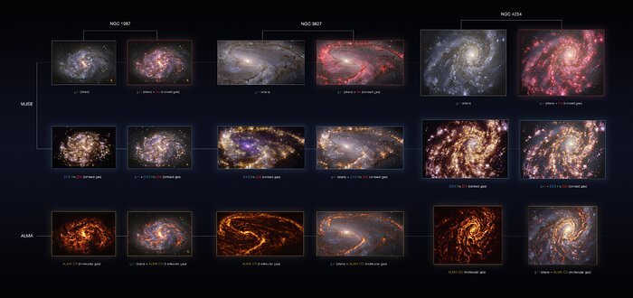 NGC 1087, NGC 3627 and NGC 4254 as seen with the VLT and ALMA at several wavelengths of light