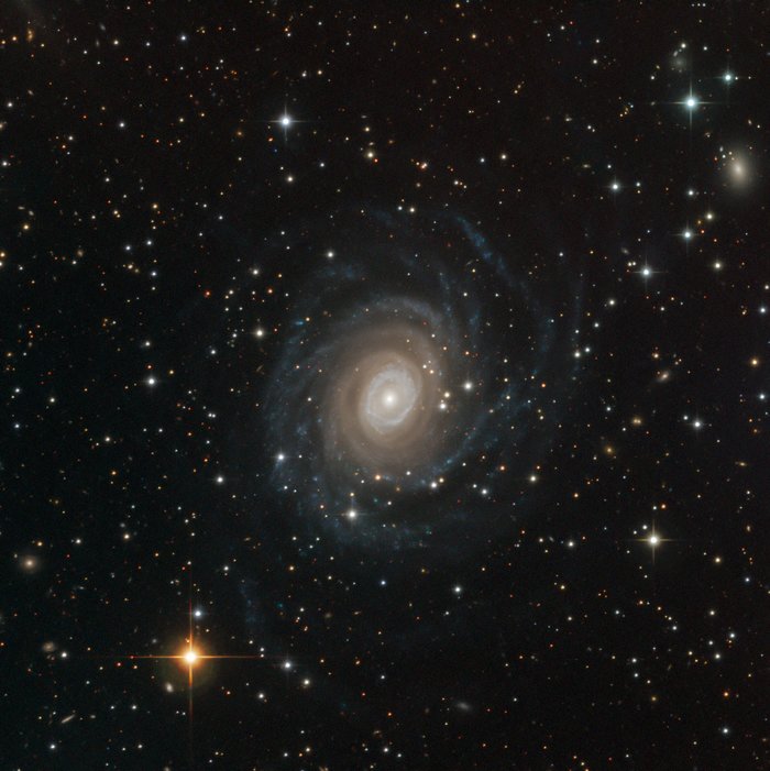 NGC 6902 pego pela SPECULOOS