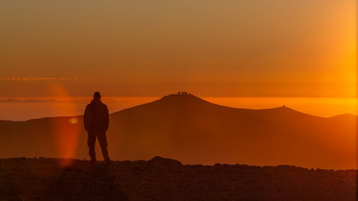 Tesoros del desierto