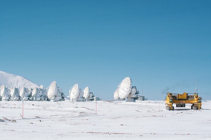 Antenas camufladas