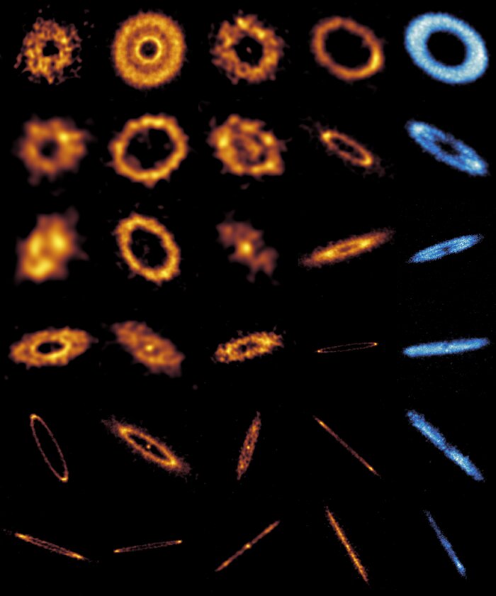 A 5x6 array of astronomical images of debris discs, shaped like rings. Some are thin rings, others are wider and have gaps within them. Some of the discs are face-on and others more inclined. Most of the discs are orange except those on the rightmost column which are blue.