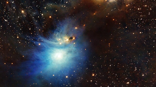 Young star lights up reflection nebula IC 2631
