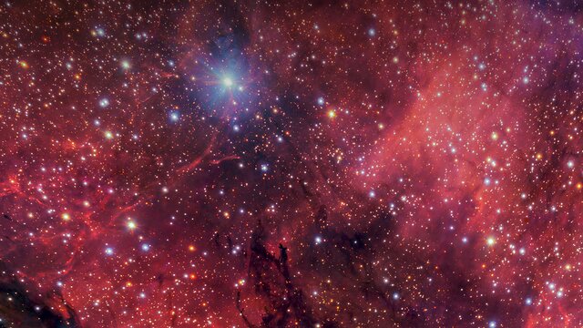The Dark Wolf Nebula