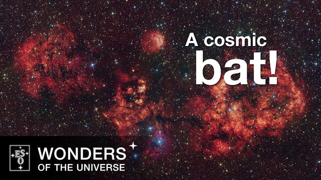 Vlieg over een spookachtige kosmische vleermuis