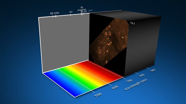 The Triangulum galaxy at different wavelengths